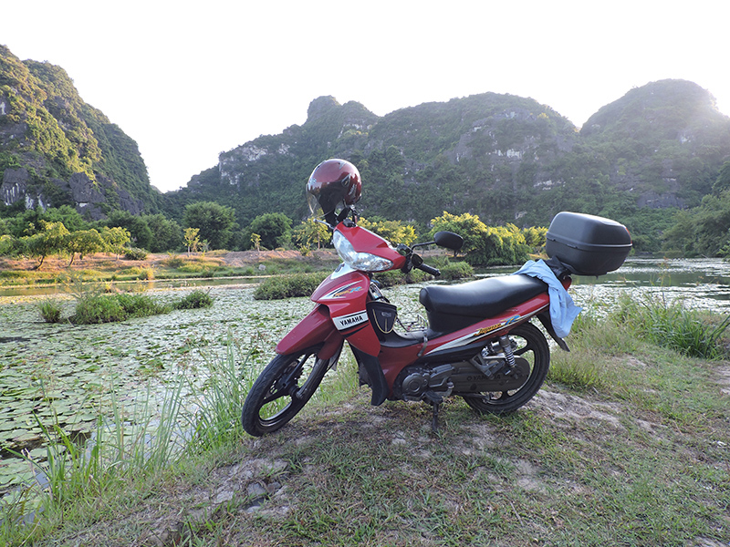 Ngựa sắt 1