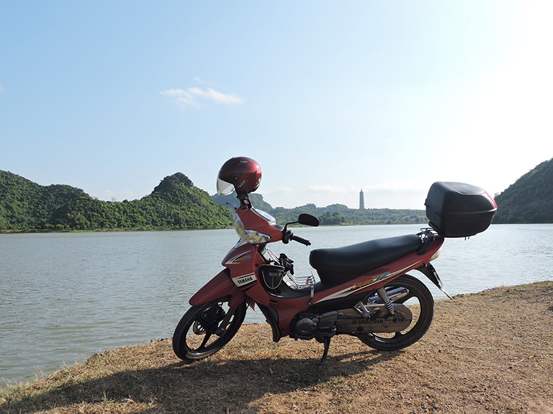 Ngựa sắt 2
